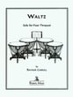 WALTZ TIMPANI cover